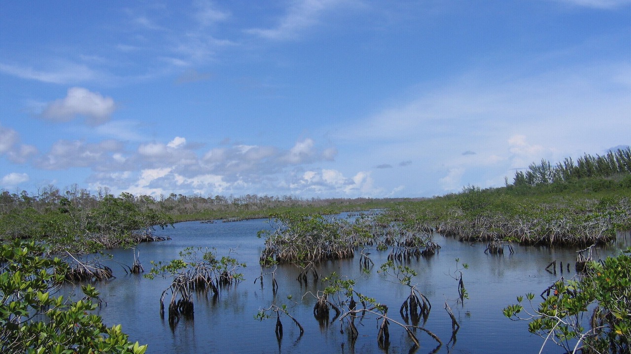 Photo of Others in Freeport