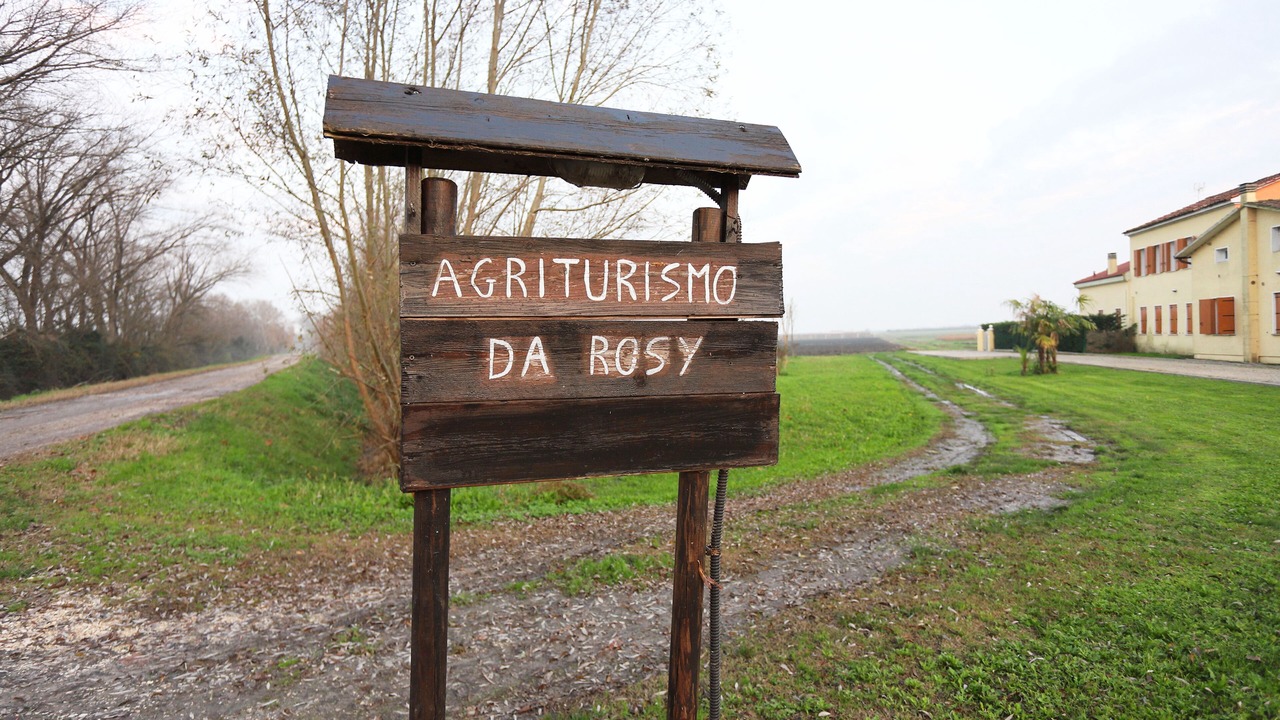 Photo of Outdoor in Codevigo