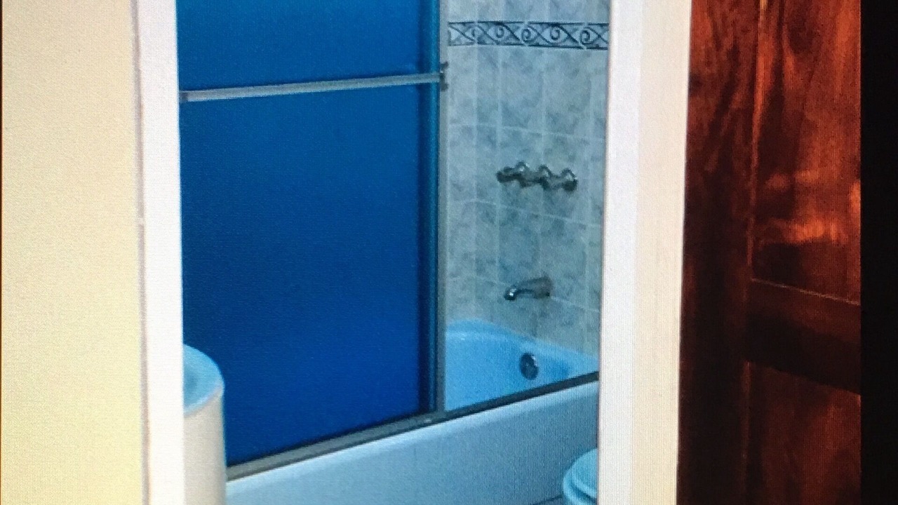 Photo of Bathroom in Lacovia