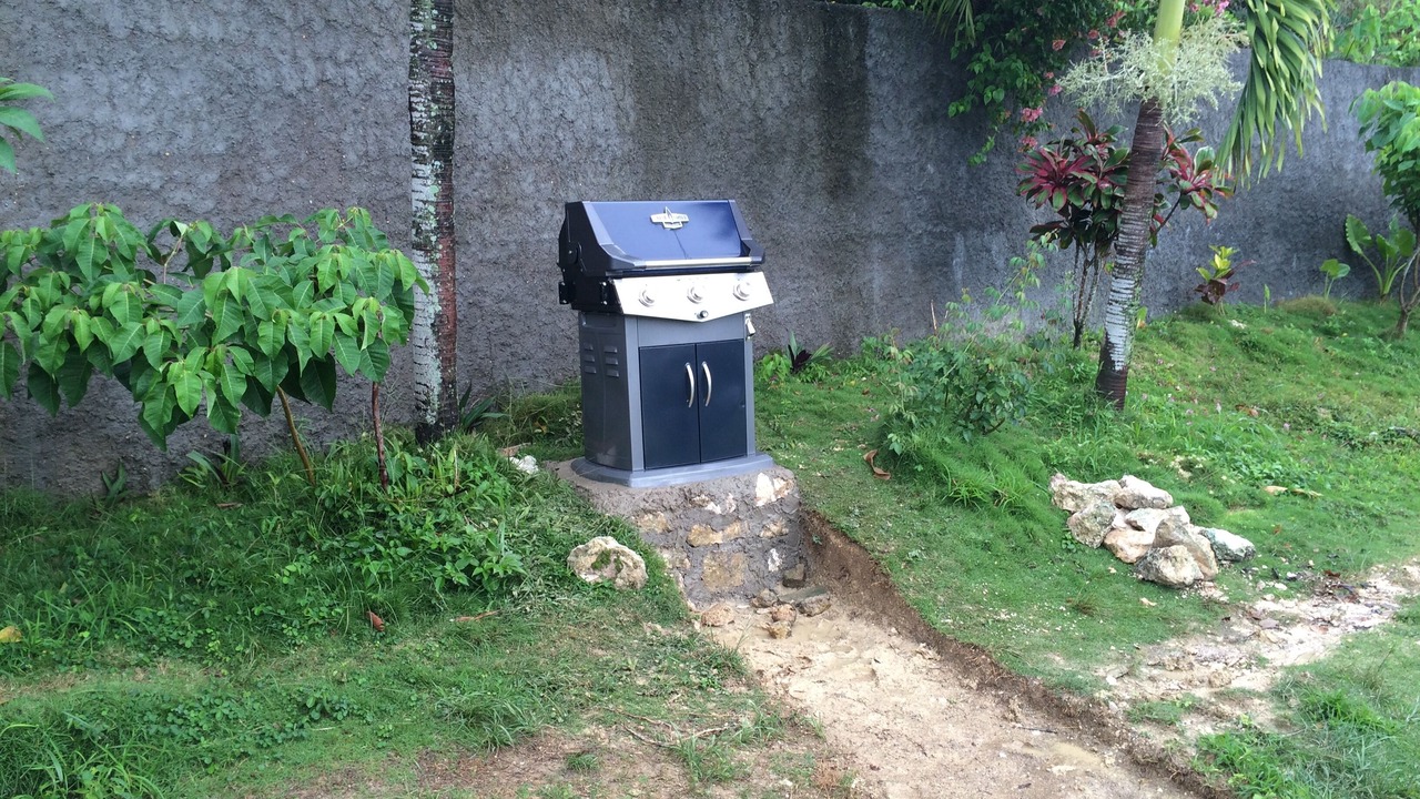 Photo of Others in St. Ann's Bay