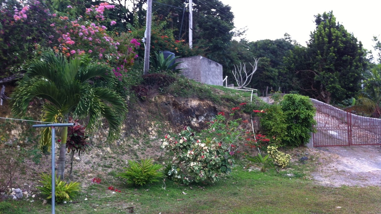 Photo of Outdoor in St. Ann's Bay