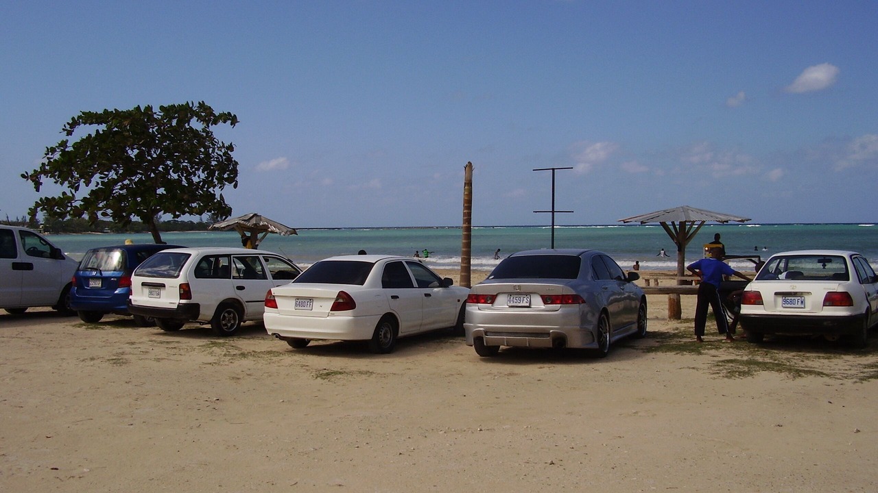 Photo of Others in St. Ann's Bay