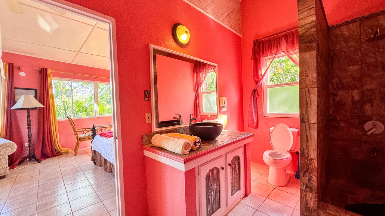 Photo of Bathroom in Treasure Beach