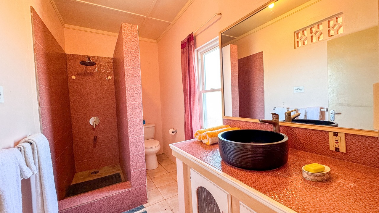 Photo of Bathroom in Treasure Beach