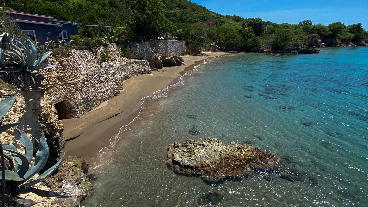Photo of Others in Treasure Beach