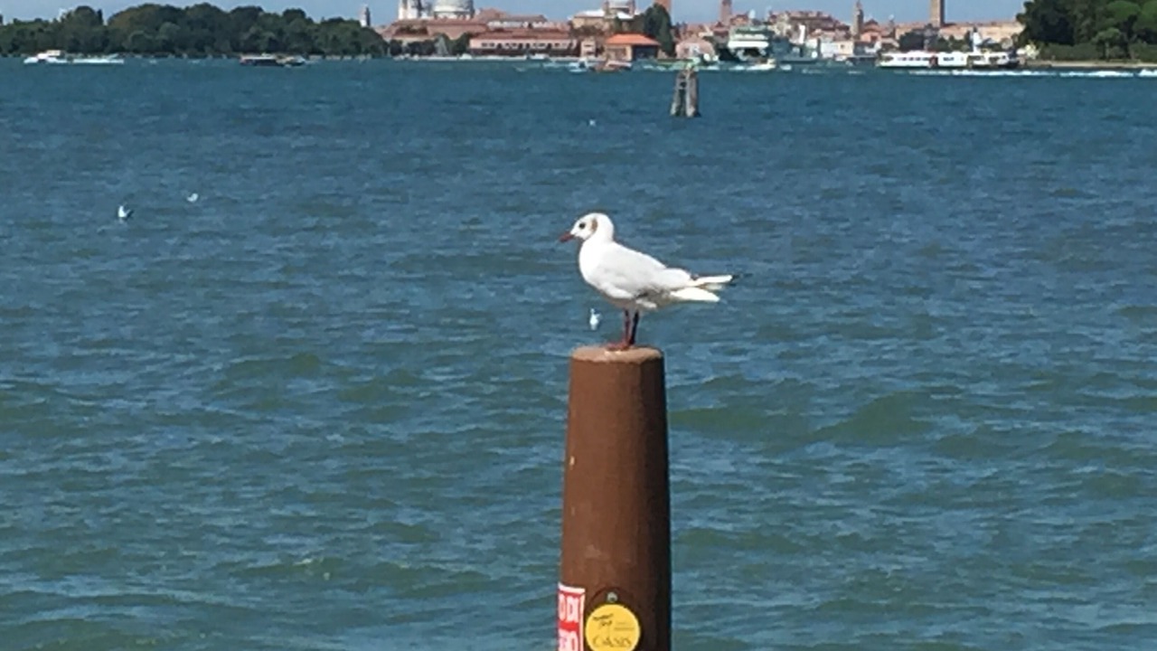 Photo of Others in Santa Maria in Stelle