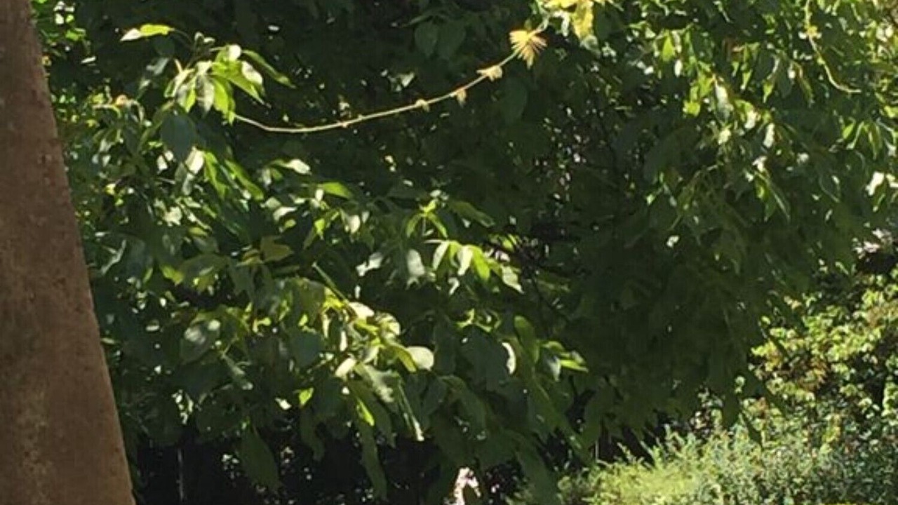 Photo of Outdoor in Sandra