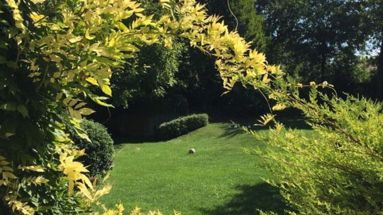 Photo of Outdoor in Sandra