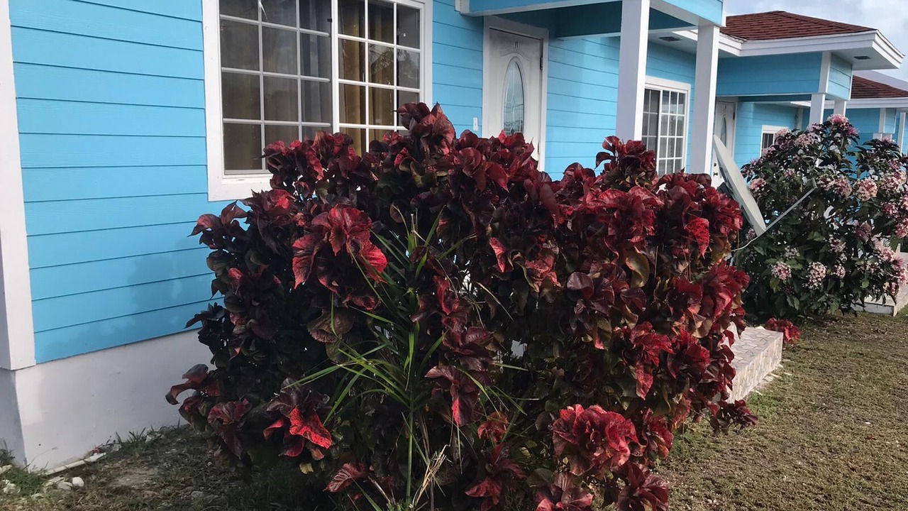 Photo of Outdoor in Farmer's Hill