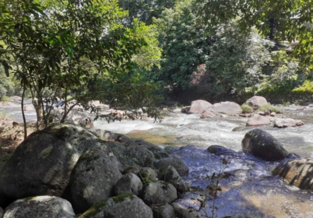 Photo of Outdoor in Cachoeiras de Macacu