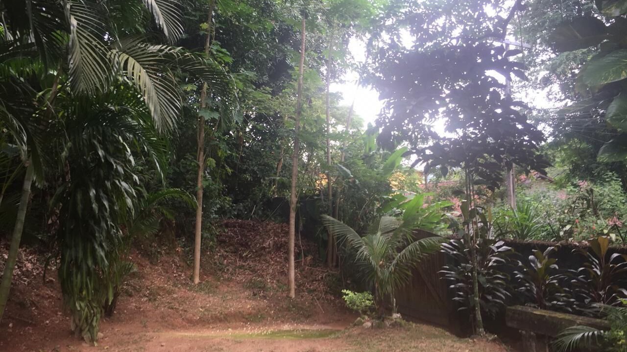 Photo of Outdoor in Cachoeiras de Macacu