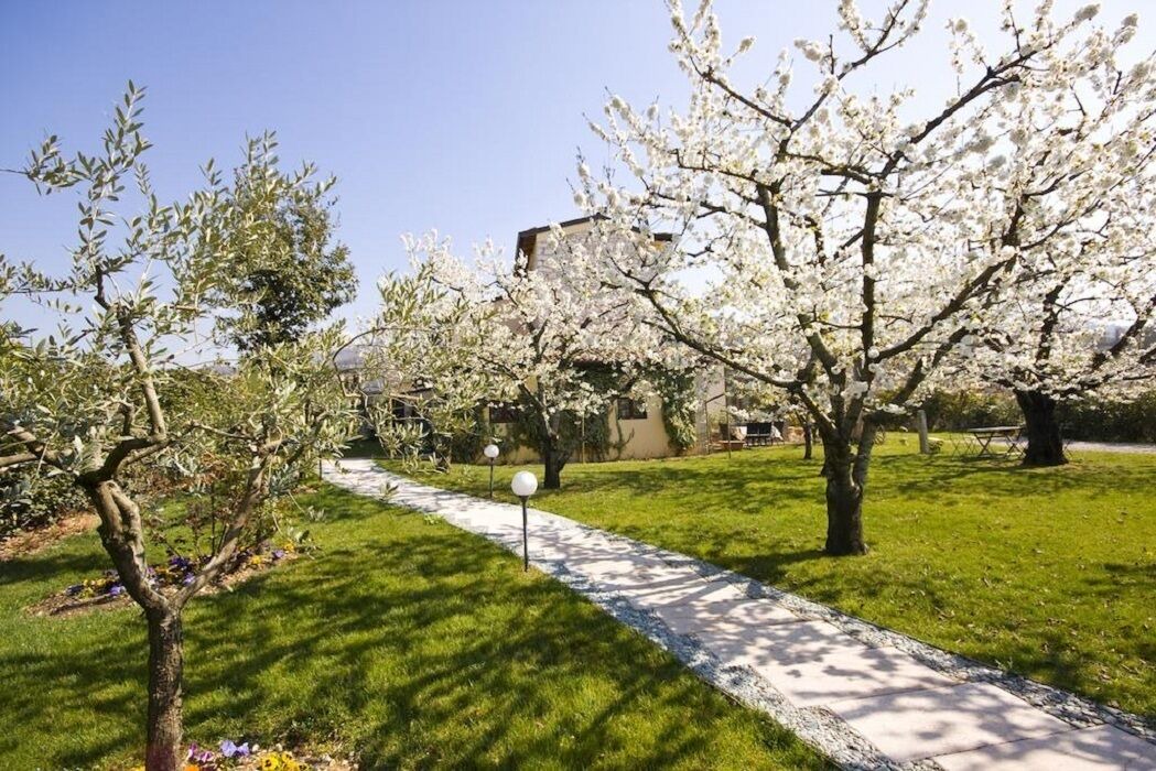 Photo of Outdoor in Negrar