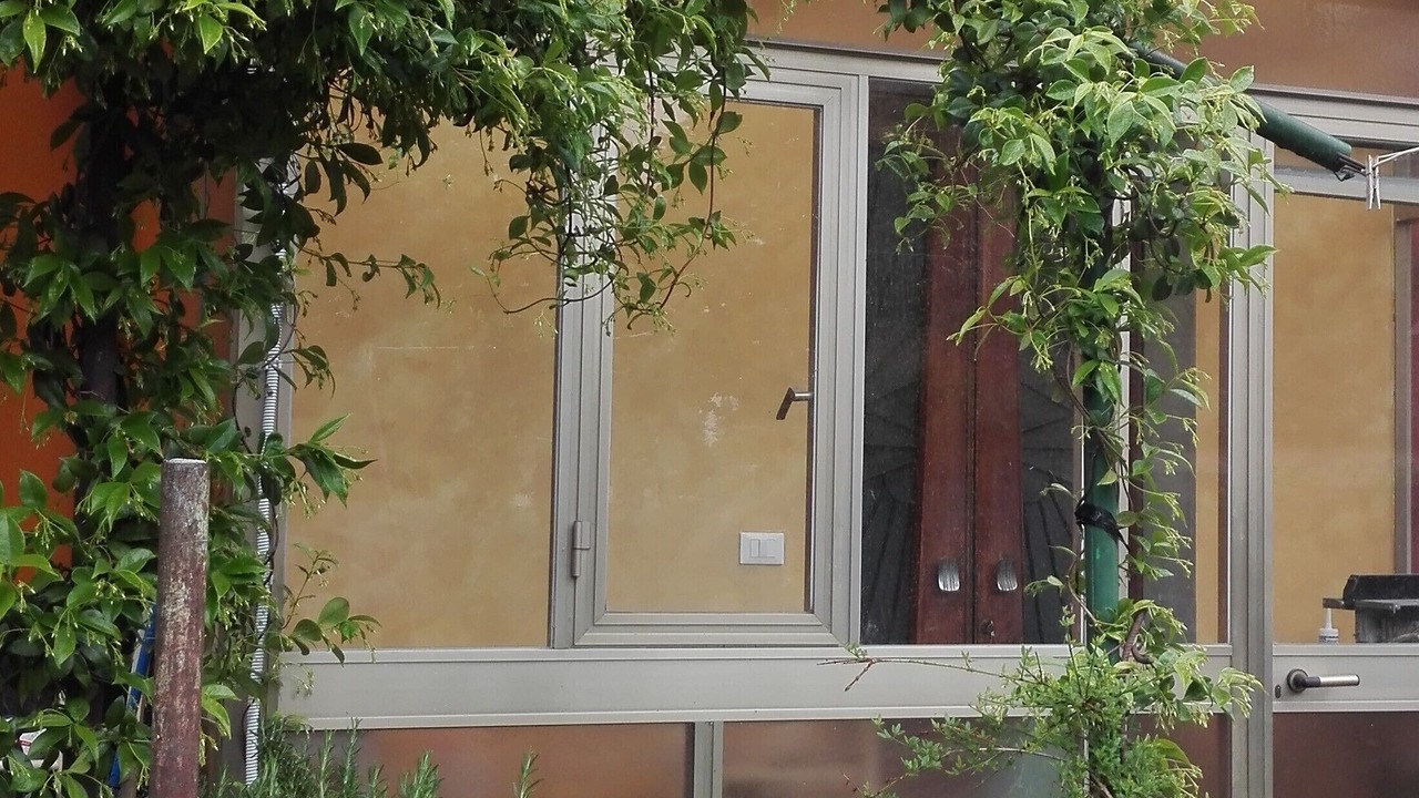 Photo of Outdoor in Dolo