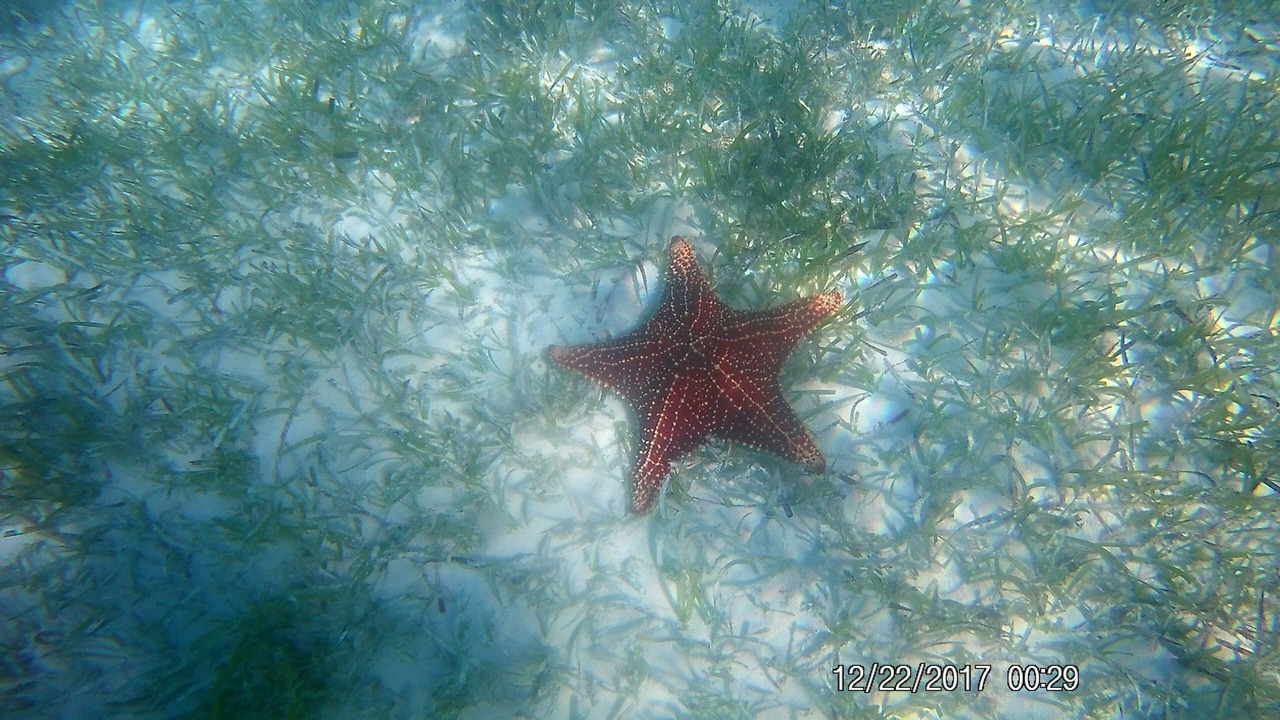 Photo of Others in Salt Pond