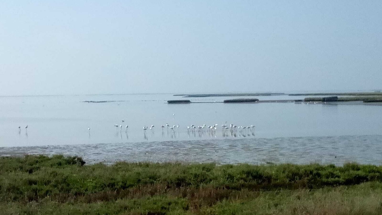 Photo of Others in Saletto-San Bartolomeo