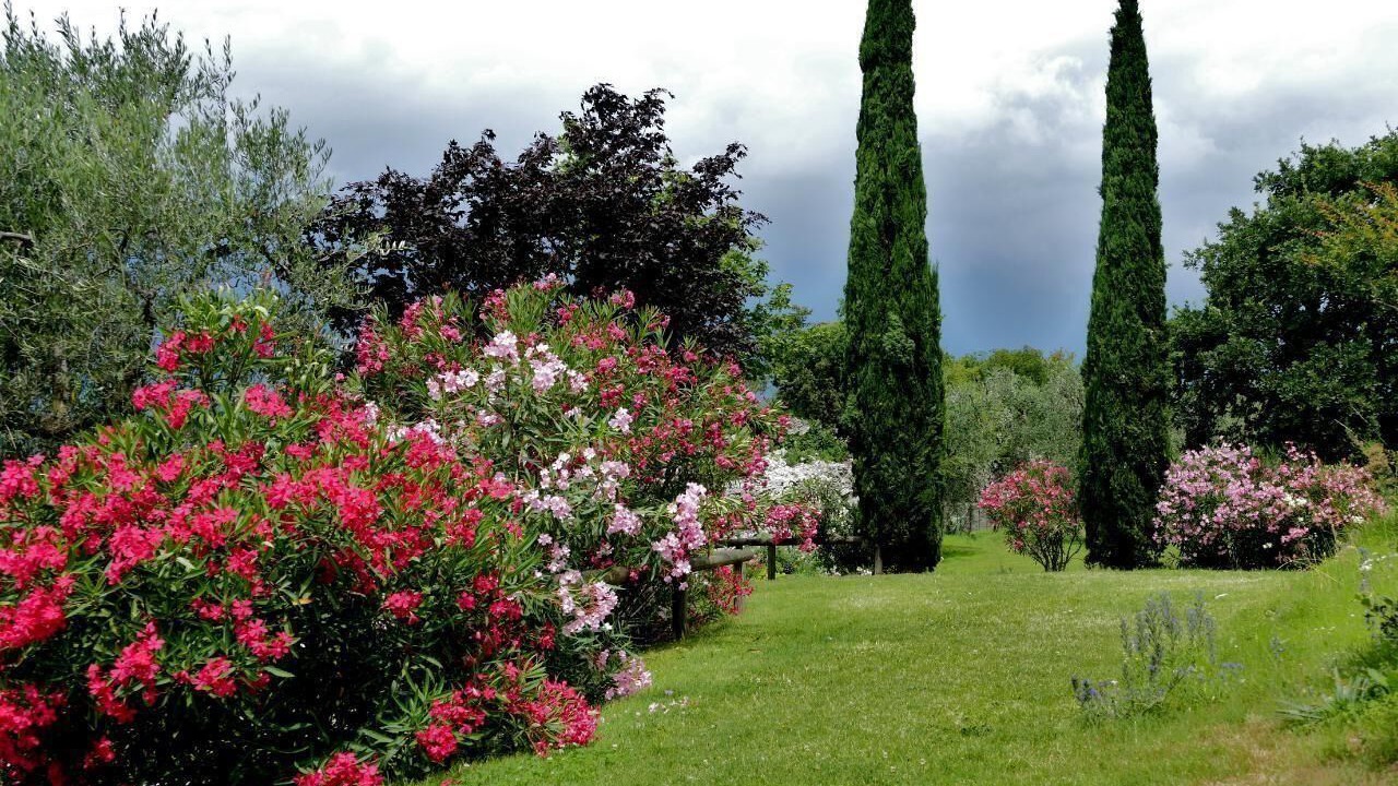 Photo of Outdoor in Malcesine