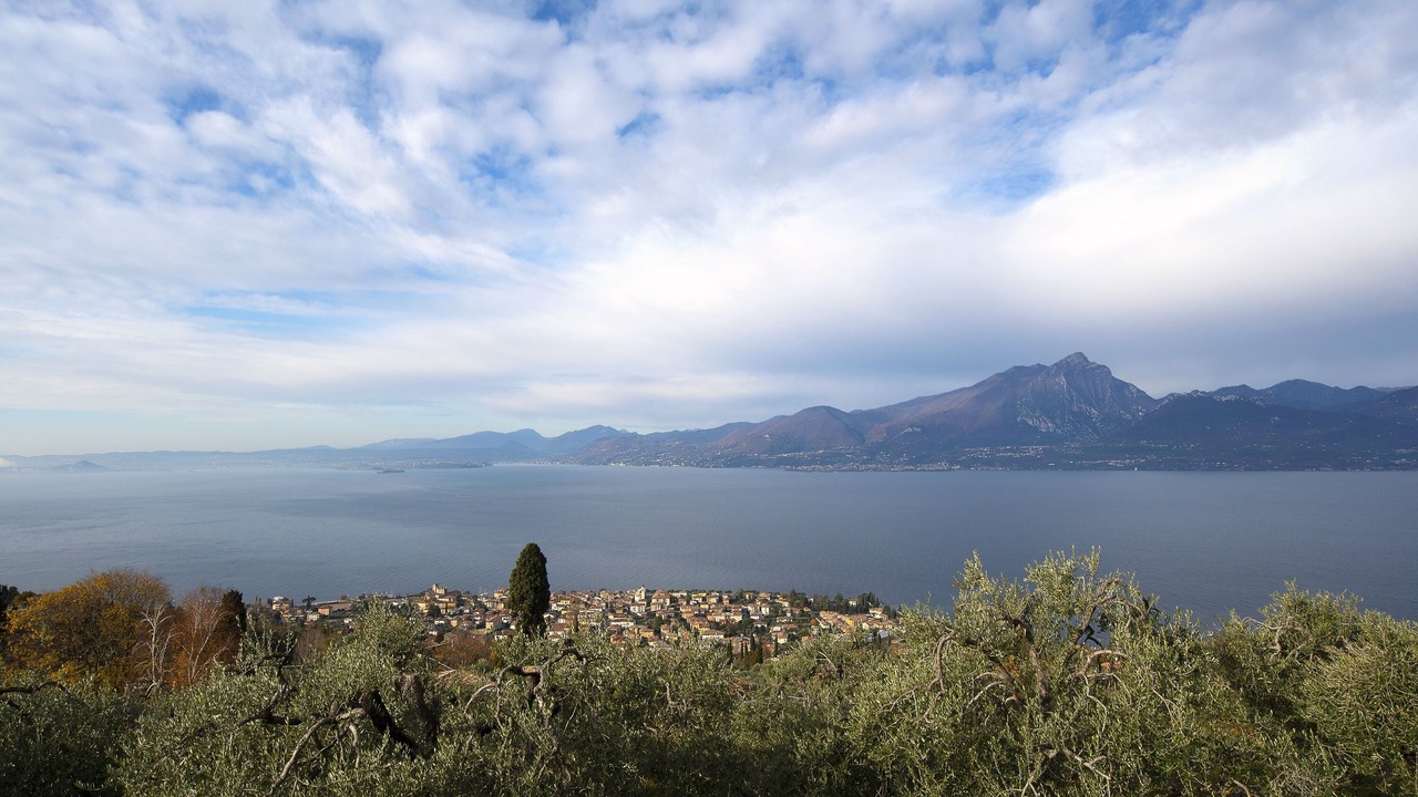 Photo of Others in Albisano