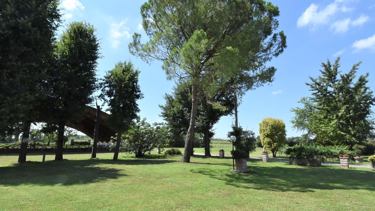 Photo of Others in Ariano nel Polesine