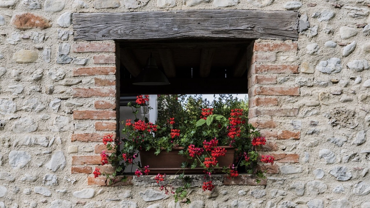 Photo of Outdoor in Asolo