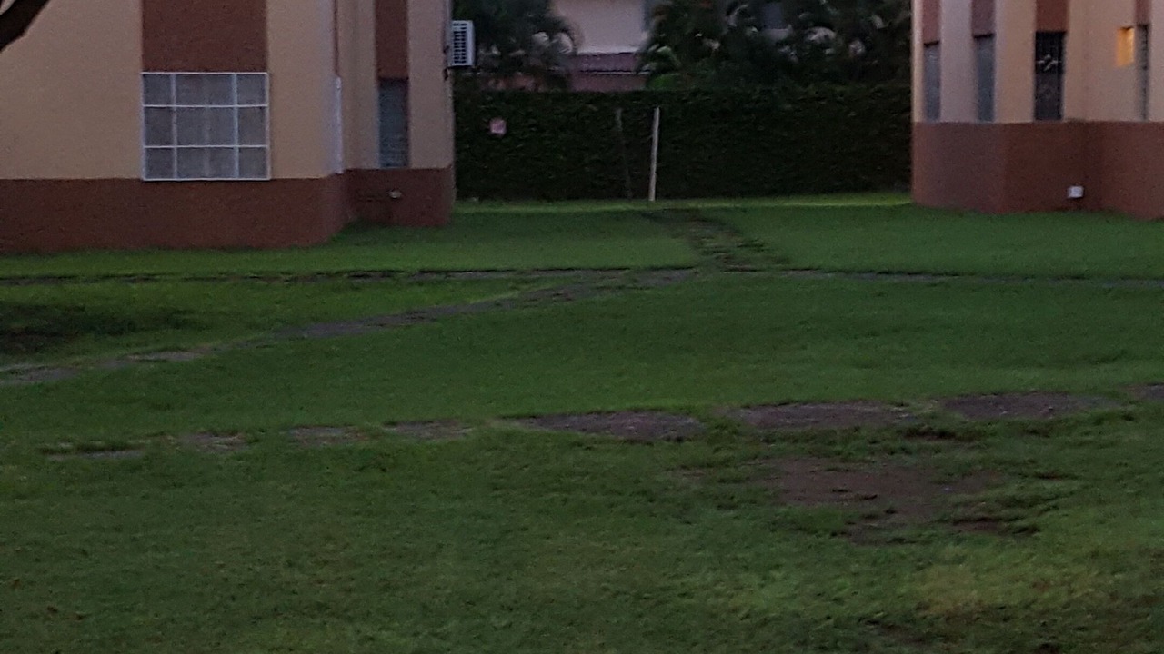 Photo of Outdoor in Saint Andrew