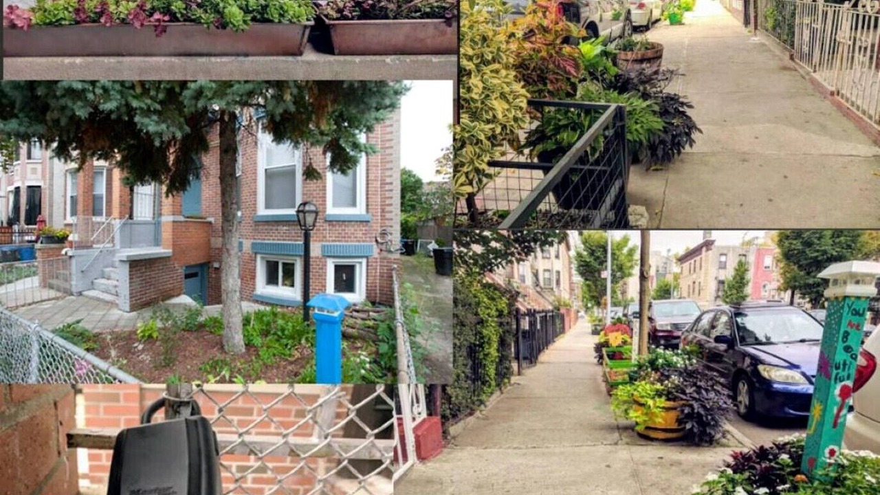 Photo of Outdoor in Flatbush