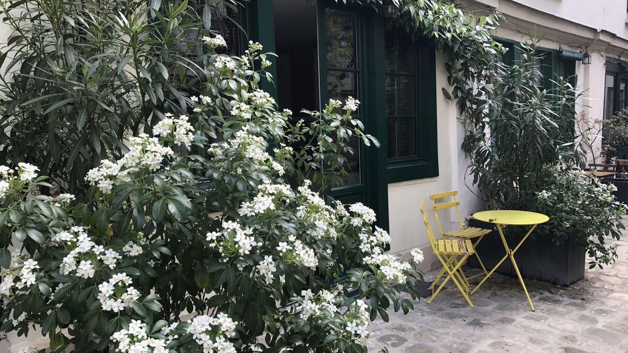 Photo of Outdoor in Quartier de Rochechouart