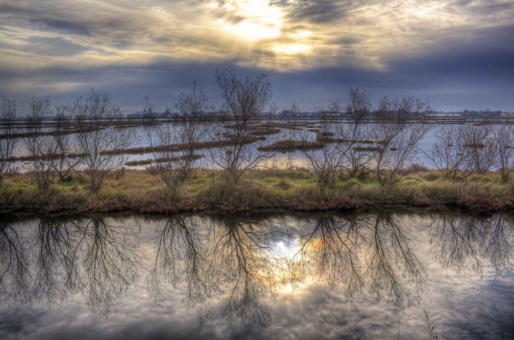 Photo of Outdoor in Ca' Savio