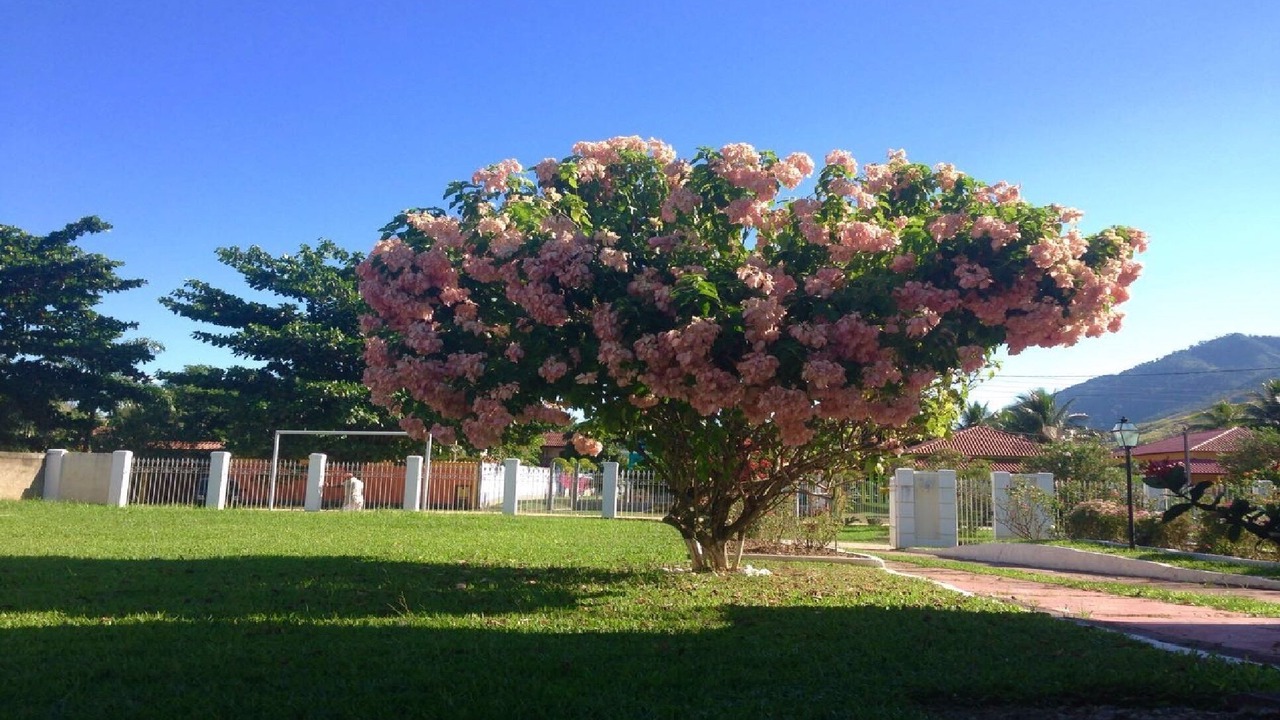 Photo of Outdoor in Miguel Pereira