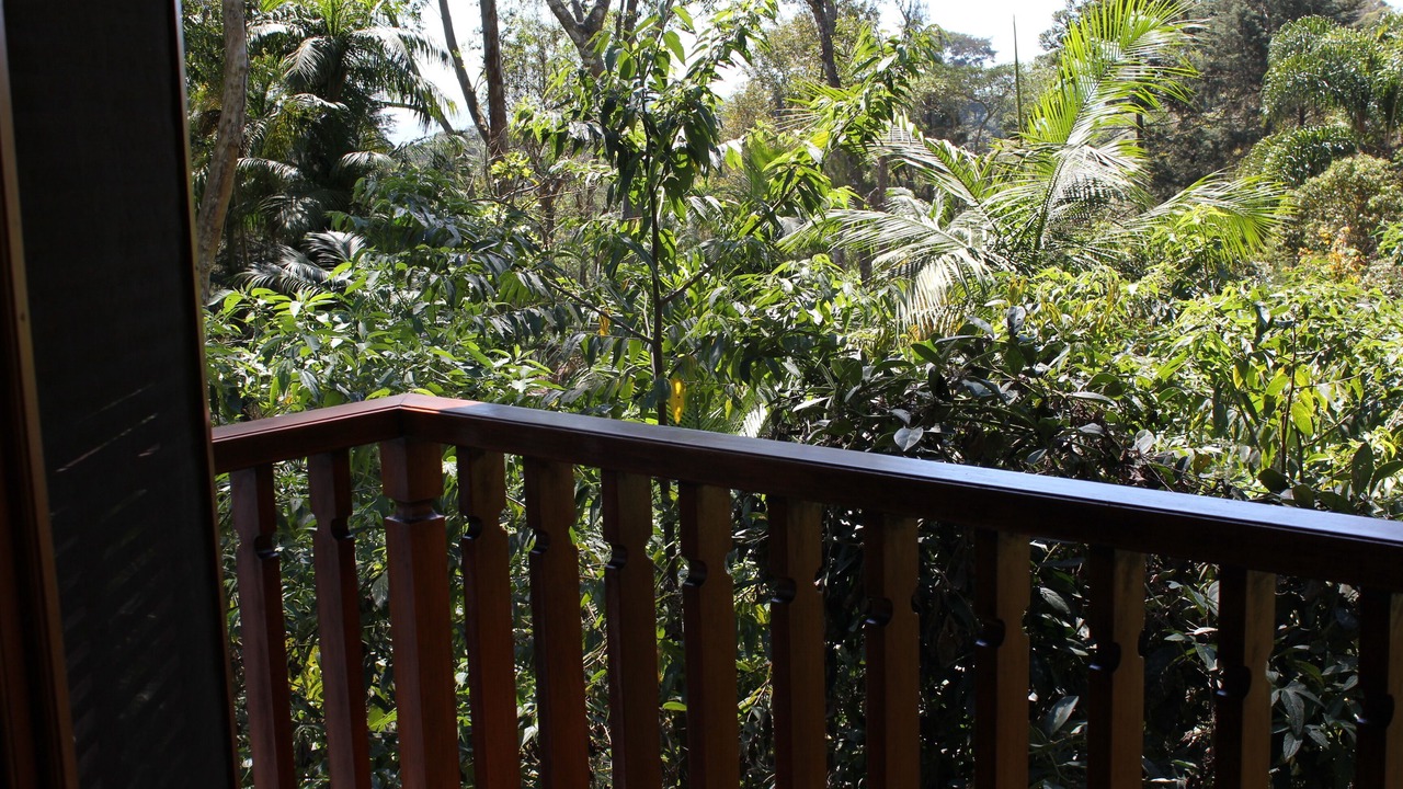 Photo of Outdoor in Teresopolis
