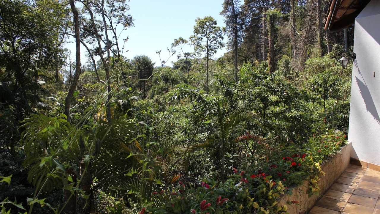 Photo of Outdoor in Teresopolis