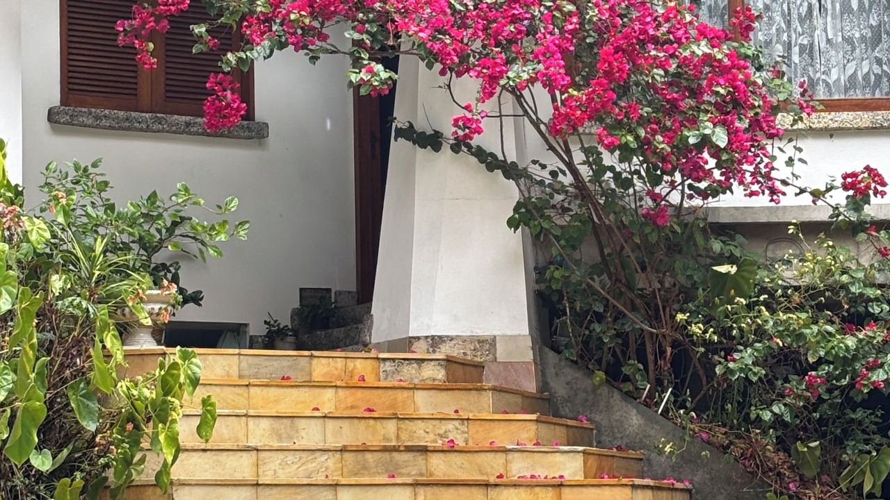 Photo of Outdoor in Teresopolis