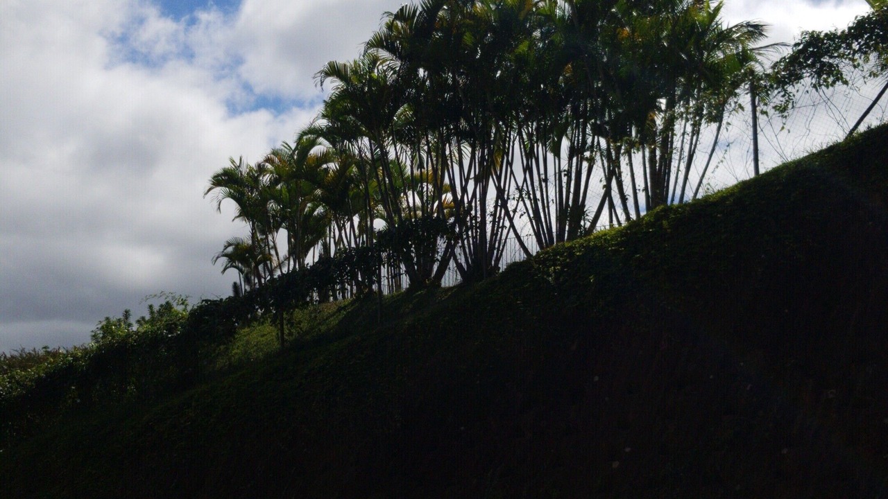 Photo of Outdoor in Itaipava