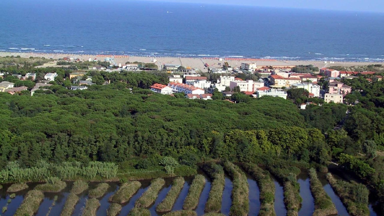 Photo of Outdoor in Rosolina Mare