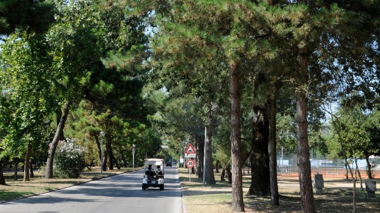 Photo of Outdoor in Isola Albarella