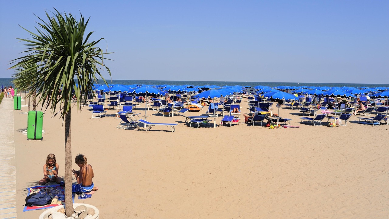 Photo of Others in Isola Albarella