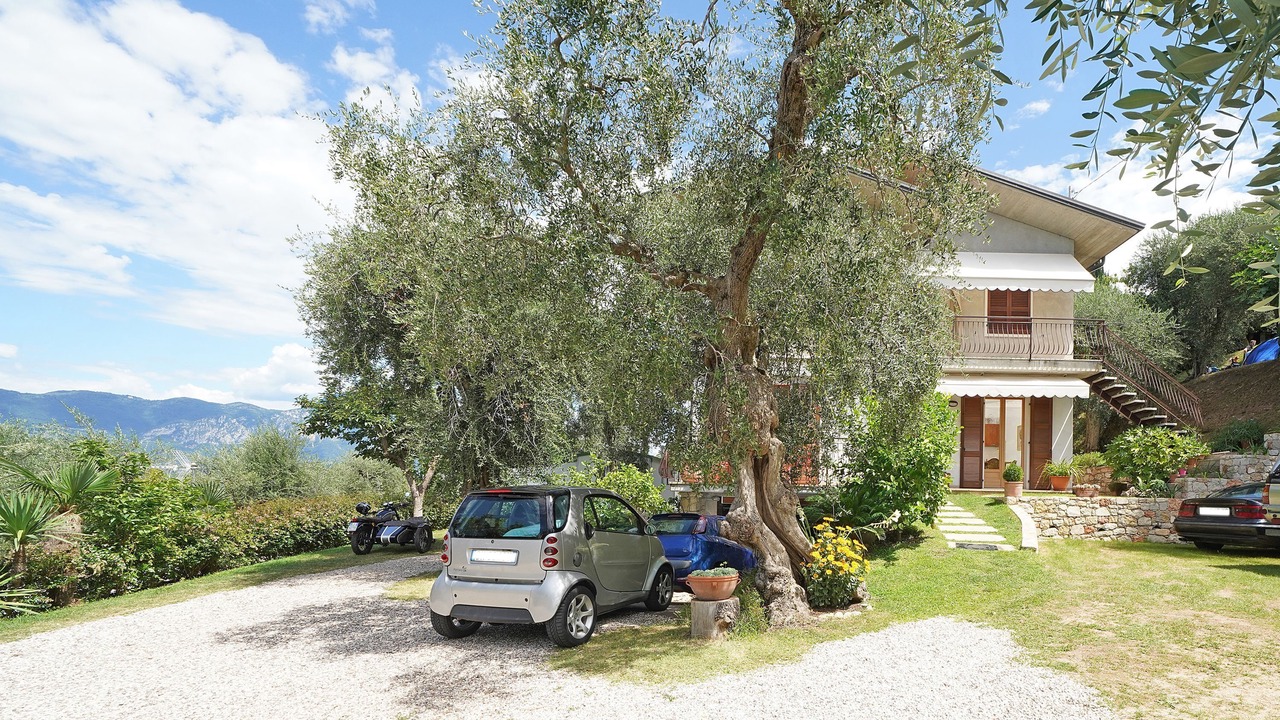 Photo of Outdoor in Frader