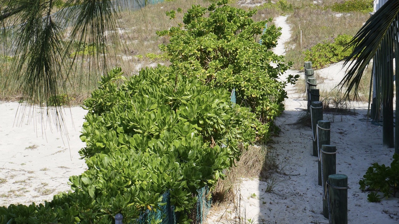 Photo of Others in Spanish Wells