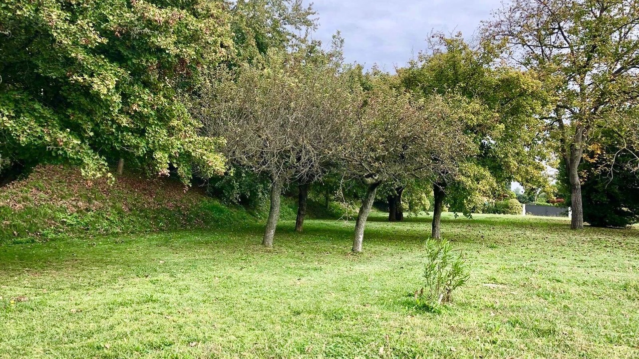Photo of Outdoor in Monteviale