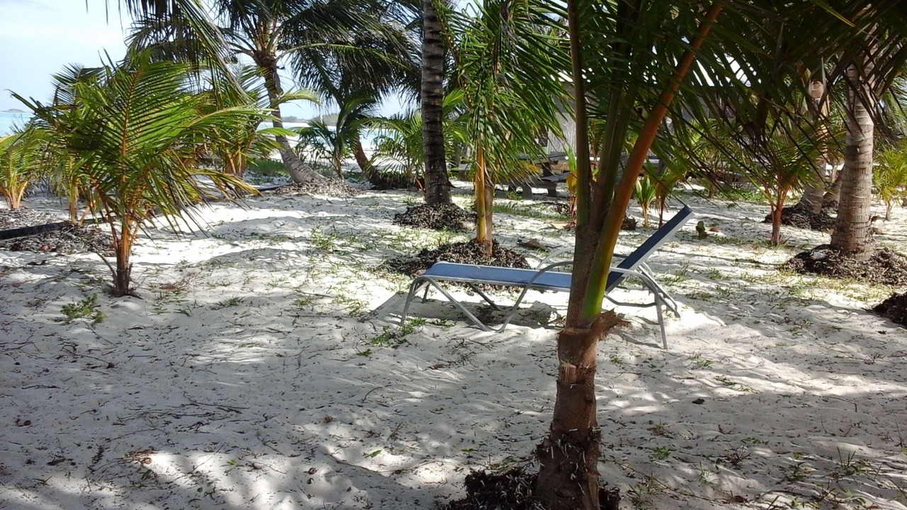 Photo of Outdoor in Rolleville