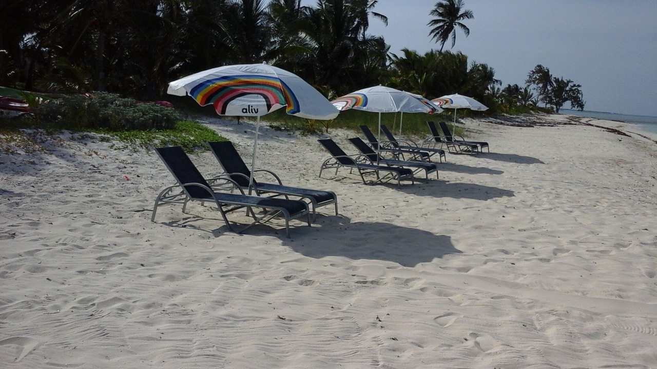 Photo of Others in Rolleville