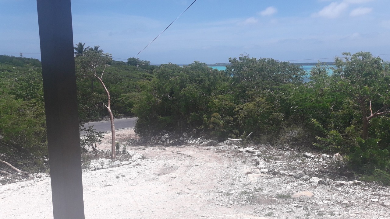 Photo of Others in George Town