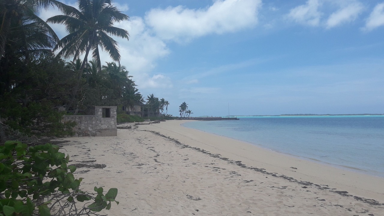 Photo of Others in George Town