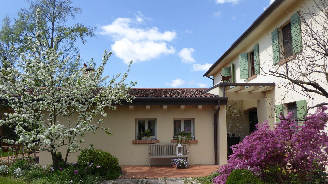 Photo of Outdoor in Zero Branco