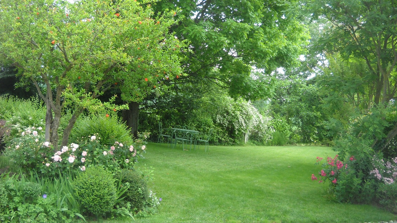 Photo of Outdoor in Zero Branco