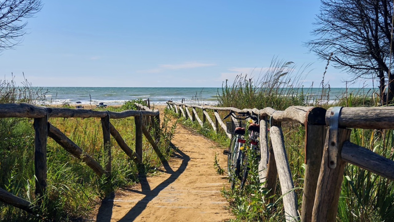 Photo of Others in Bibione
