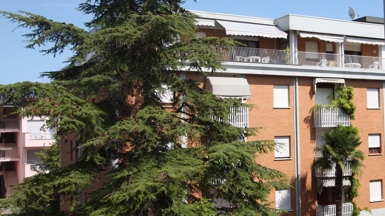 Photo of Outdoor in Bibione Lido del Sole
