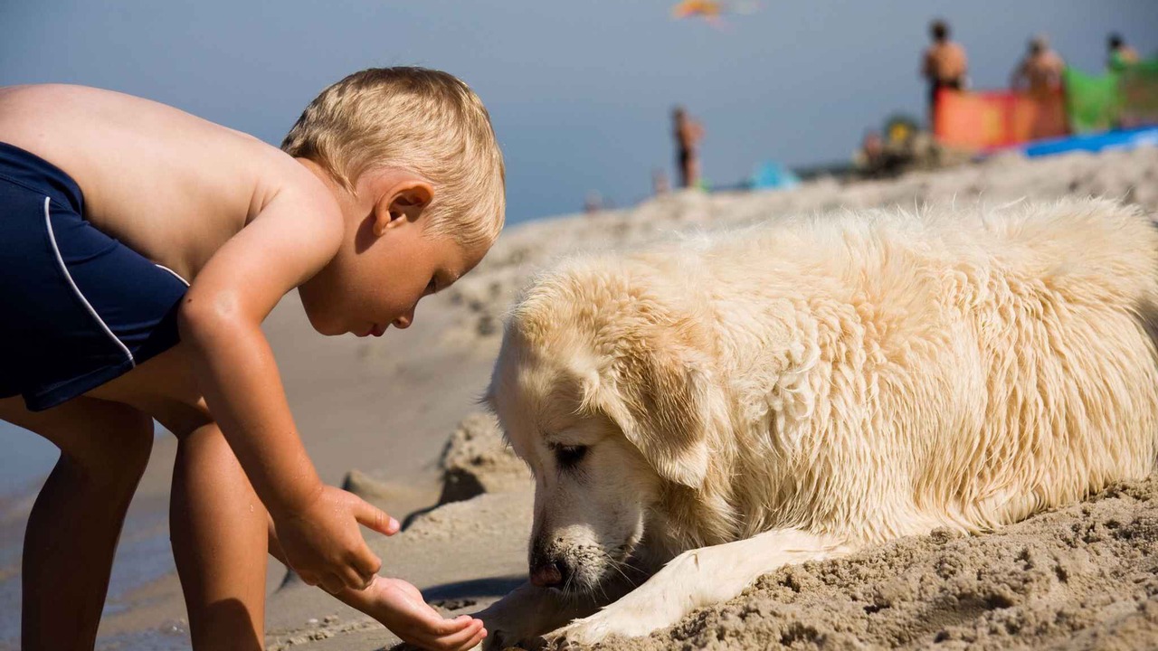 Photo of Others in Bibione Lido del Sole