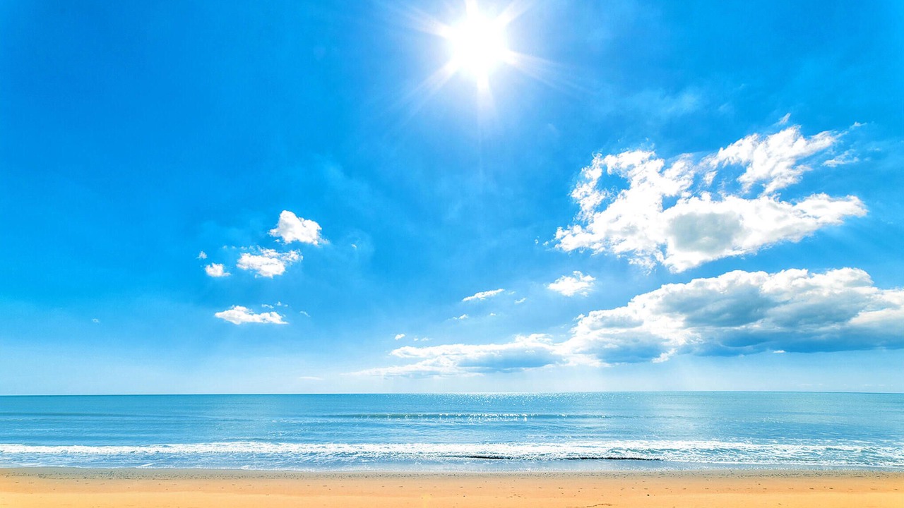 Photo of Others in Rosolina Mare