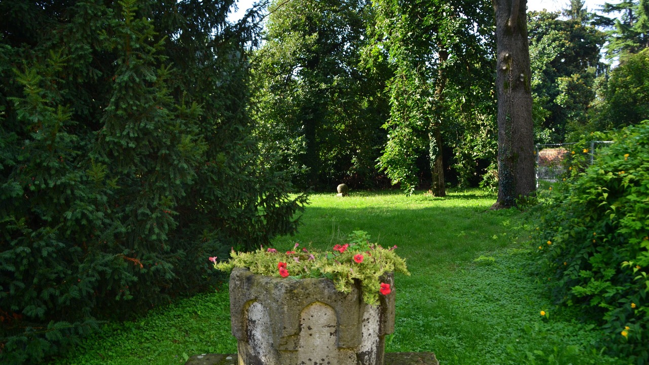 Photo of Outdoor in Fiesso d'Artico