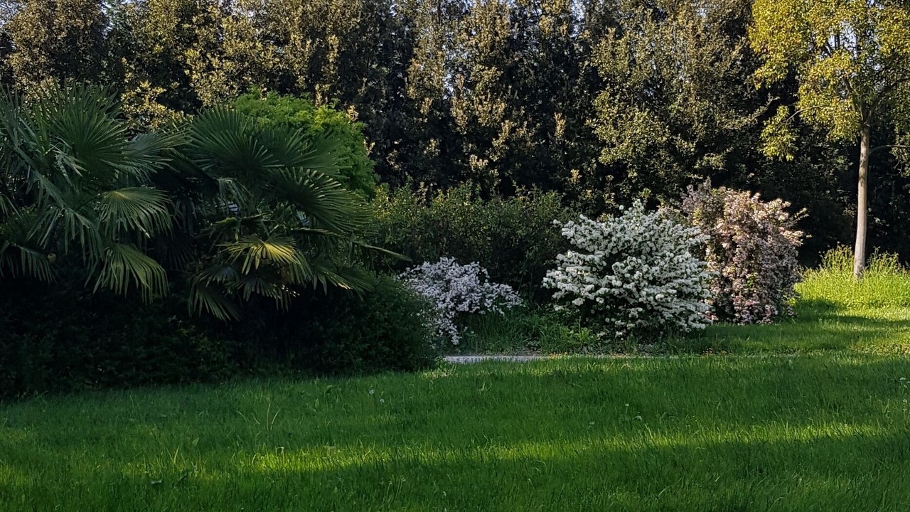 Photo of Others in Fiesso d'Artico